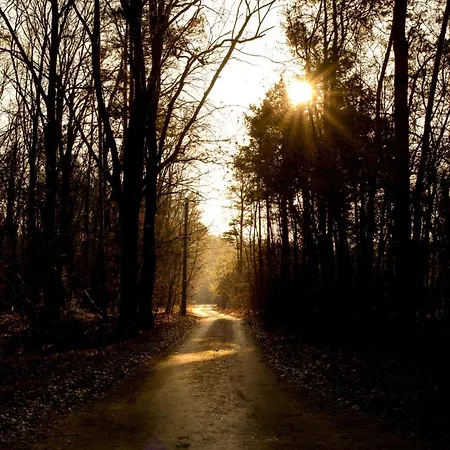 Starosiejka - Lewy Brzeg Narwi