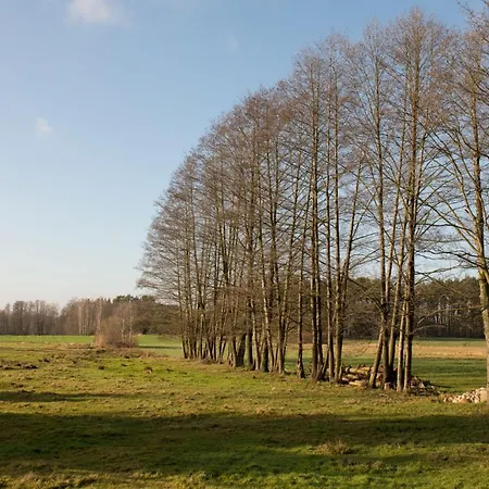 Starosiejka - Lewy Brzeg Narwi *